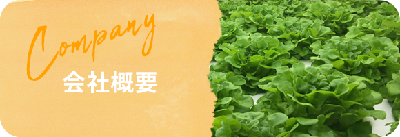 会社概要